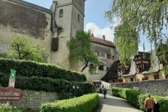 photo_13_2023-07-02_18-40-56